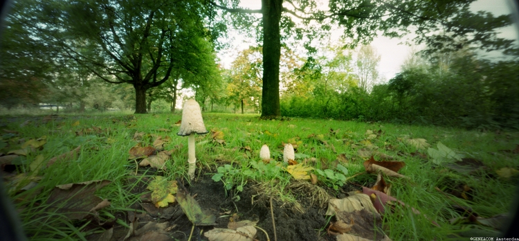 Pinhole-033