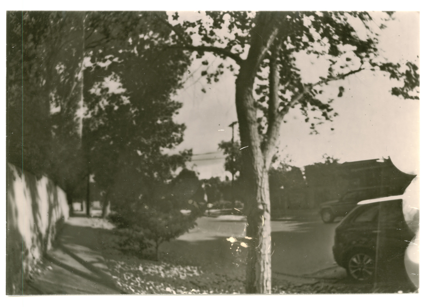 Pinhole 4x5 Dektol v. Caffenol
