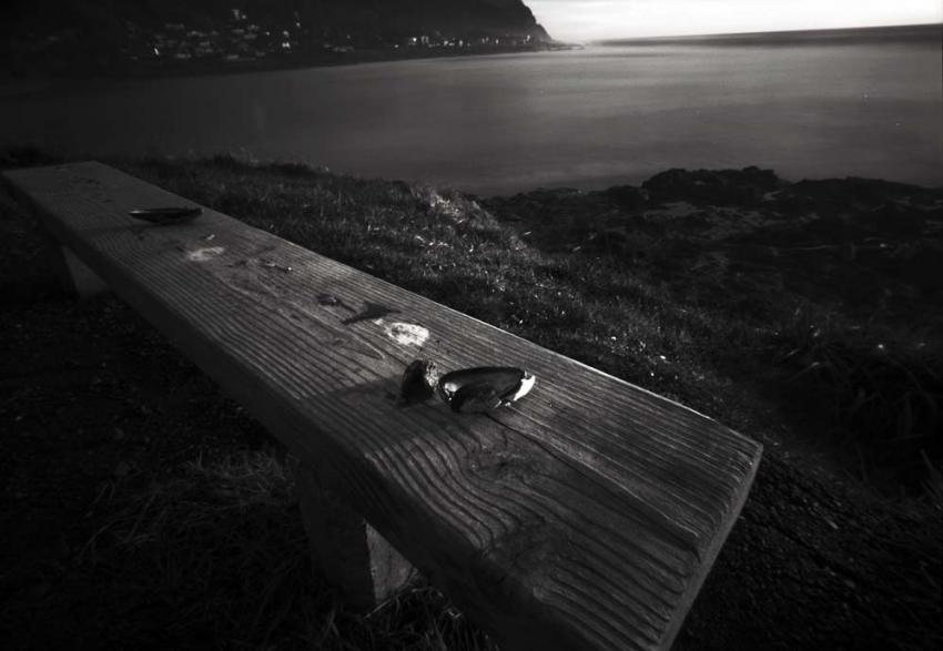 Pinhole Bench Binge No. 3