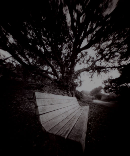 Pinhole - Bob Jones Bike Trail
