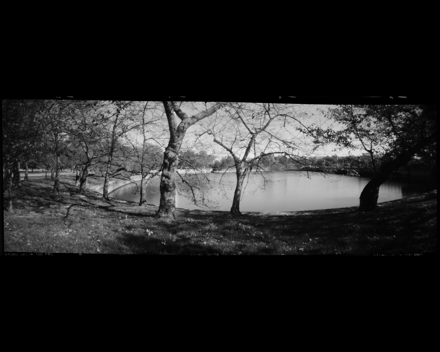 Pinhole Pano 3
