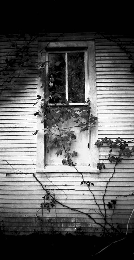 Pinhole photos