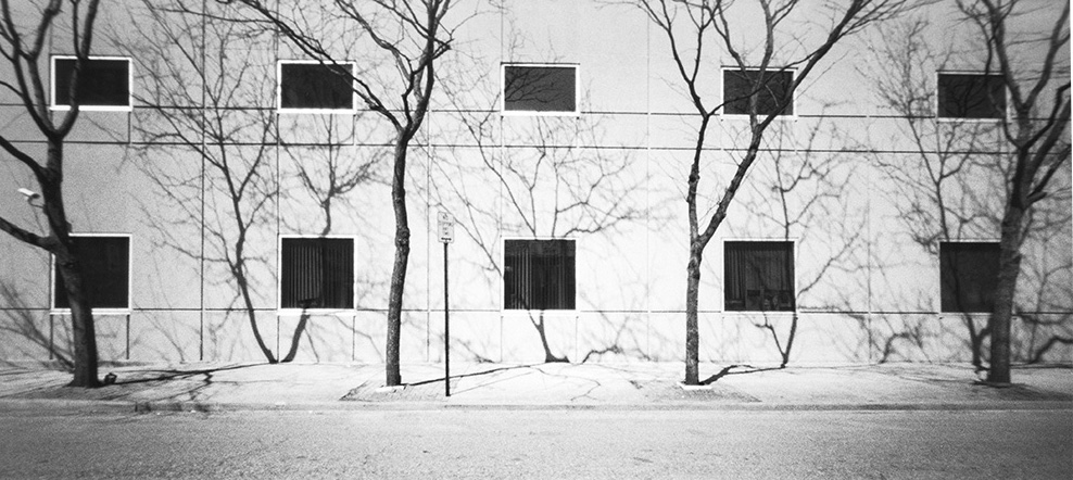 Pinhole Sunday image 6