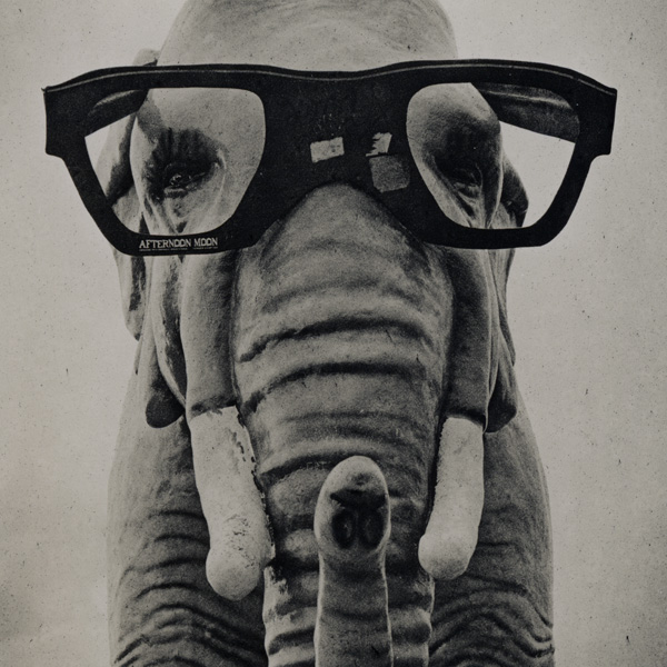 Pink elephant, DeForest, Wisconsin