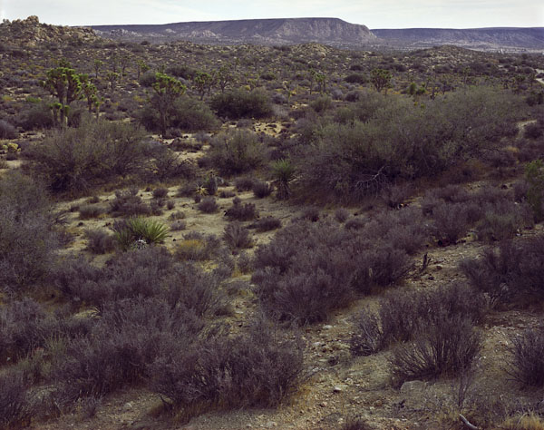 Pioneertown, California, 2007