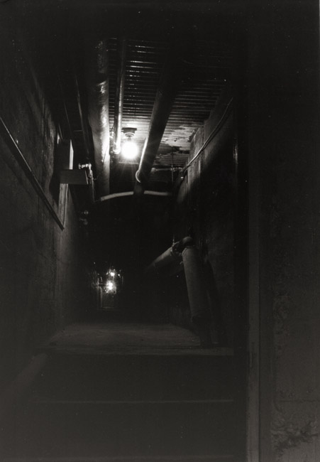 Pipe Tunnel