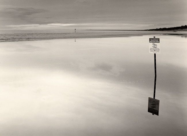 Piping Plover Nesting Area