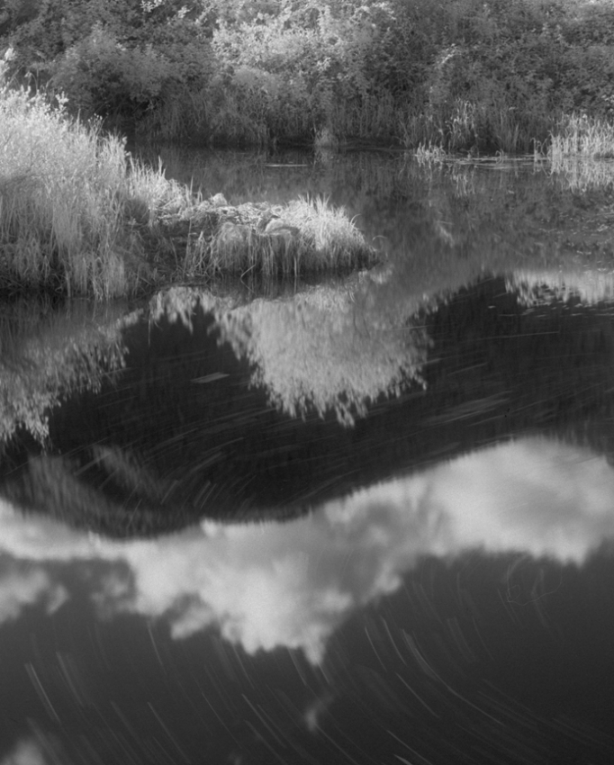 Pitt Lake