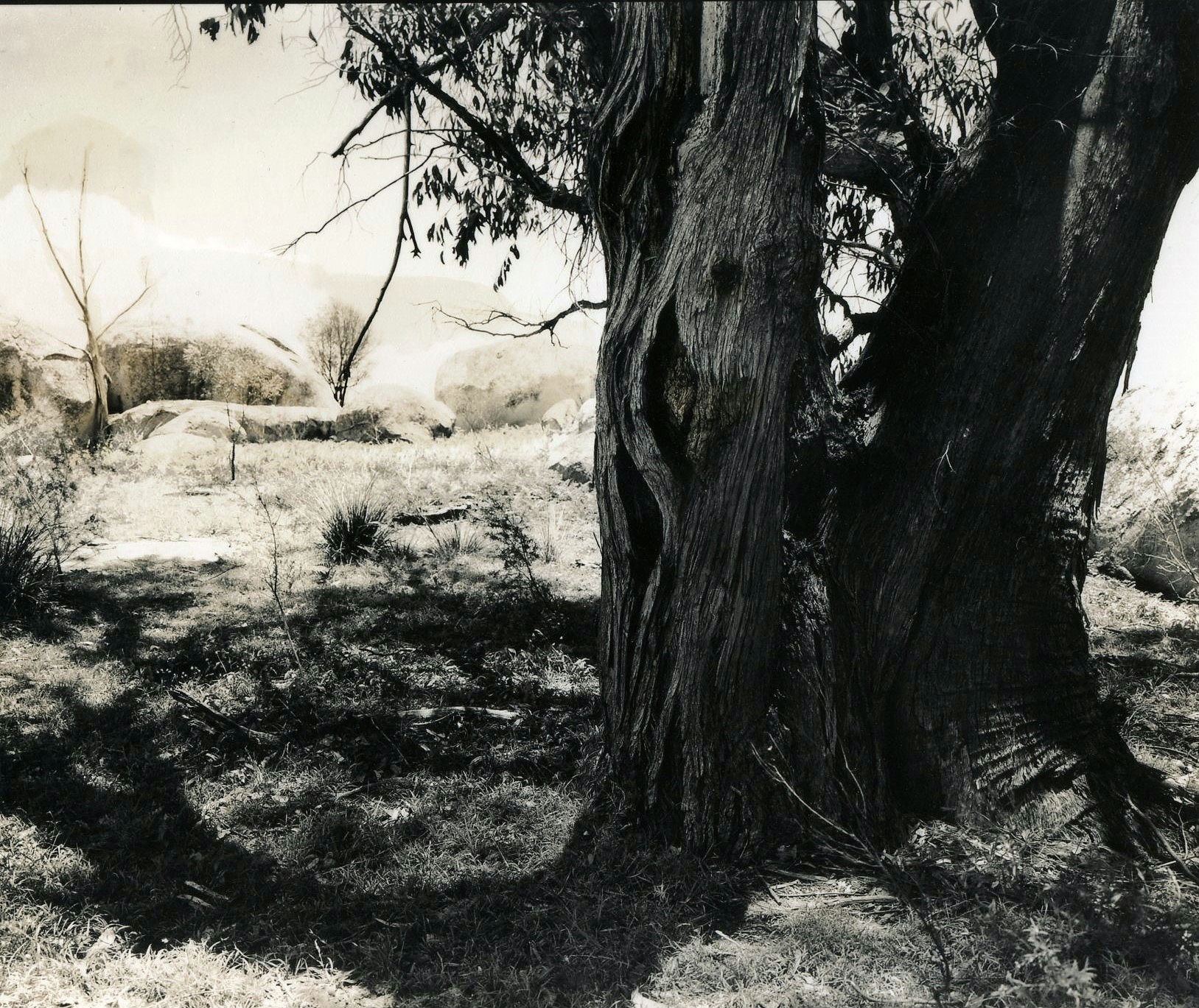 Place of the Fae Folk