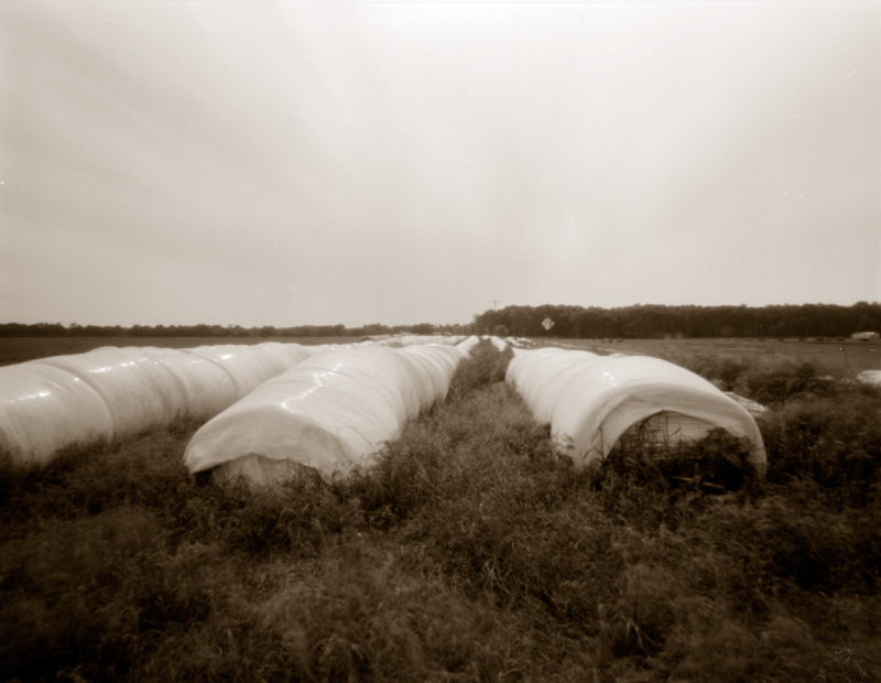 plaistic wrapped hay