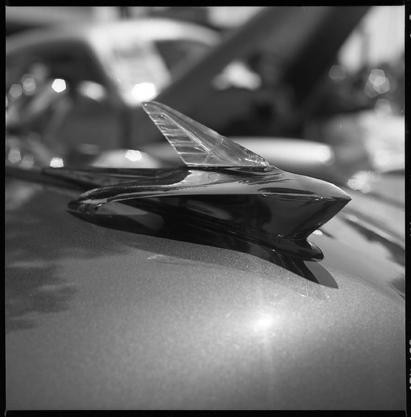 Plane on a Hood