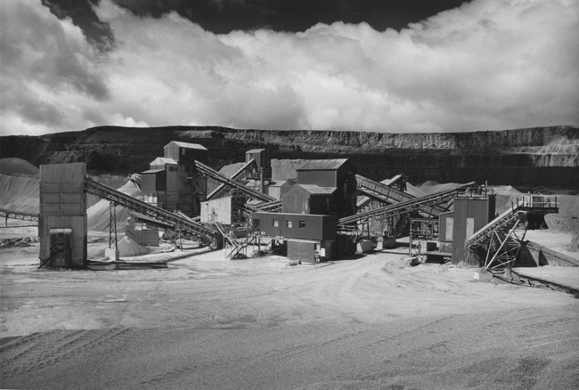 Plant in Horton Quarry, Horton in Ribblesdale