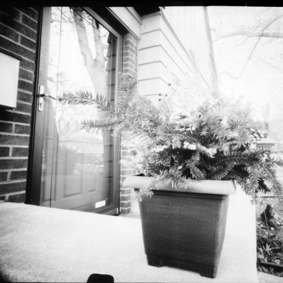 planter two