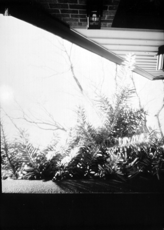 planter