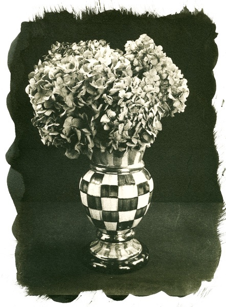 Platinum Print -  Vase & Flowers