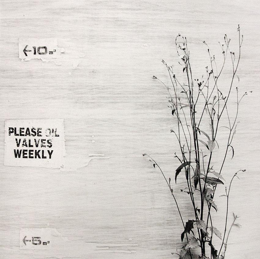 Please Oil