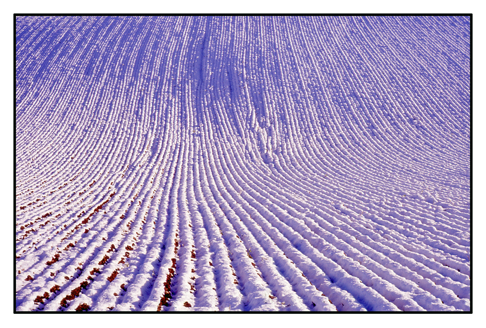 Ploughed field in winter