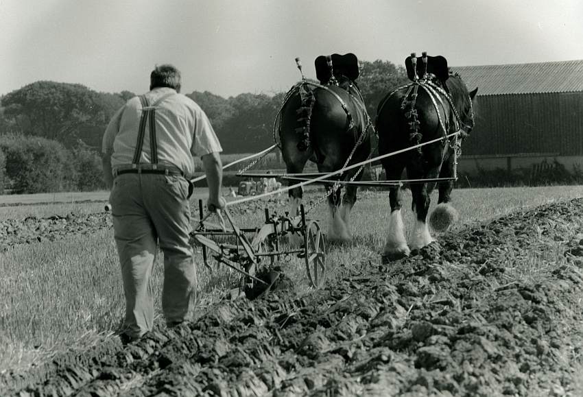 Ploughing Horses (3)