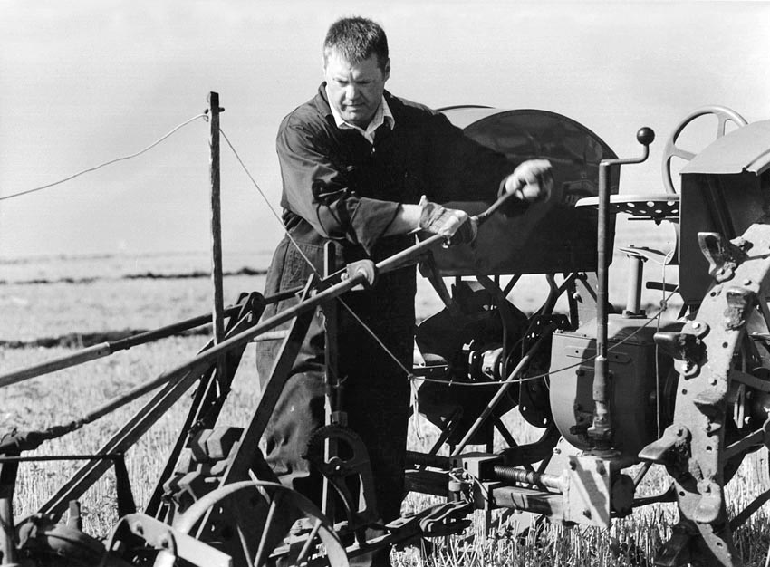 Ploughing Match 2