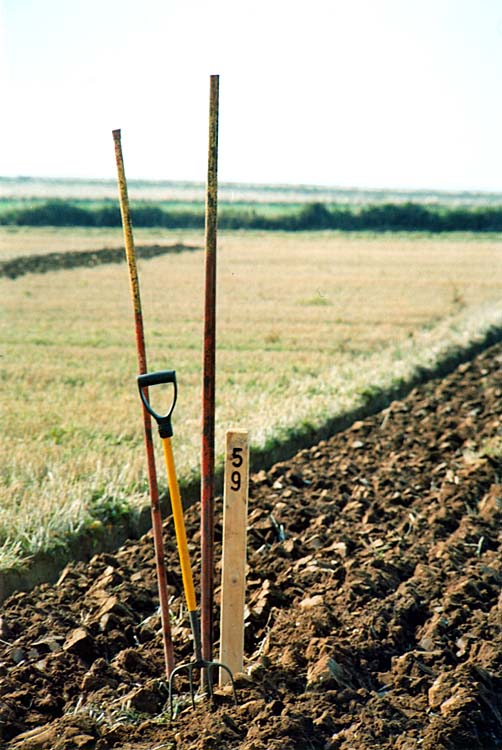Ploughing Match