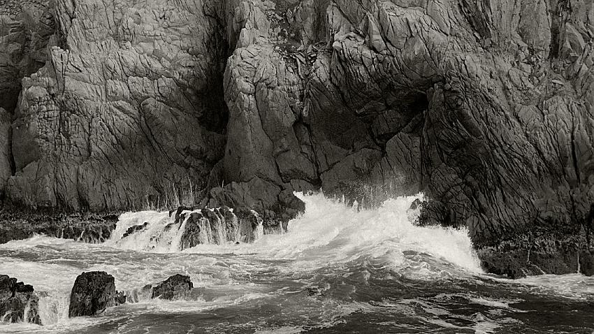 Point Lobos