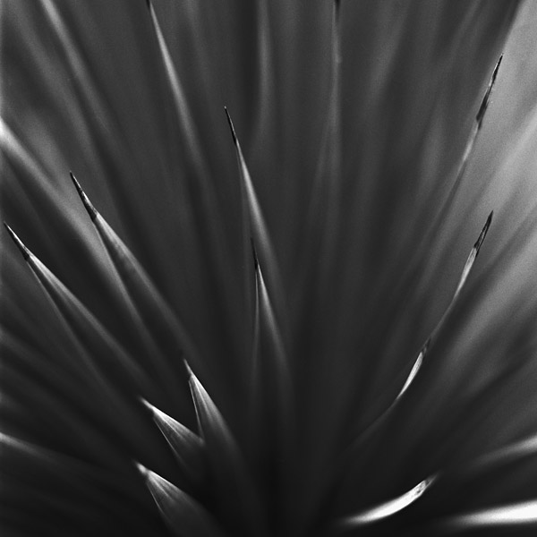 Point of View