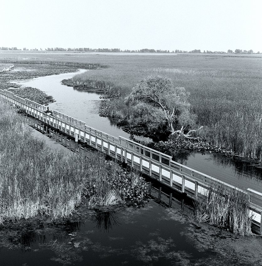 Point Pelee National Park