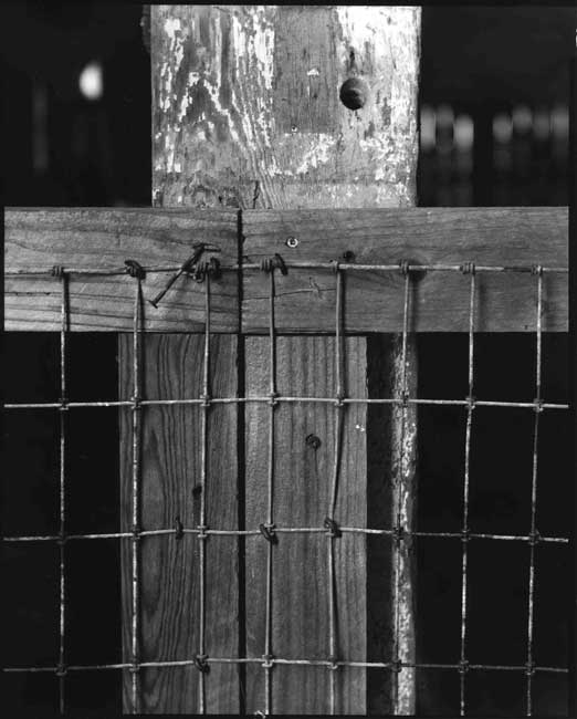 Point Reyes/ Pierce Barn 1870