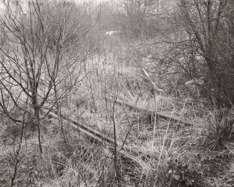 Points, derelict sidings Pensnett