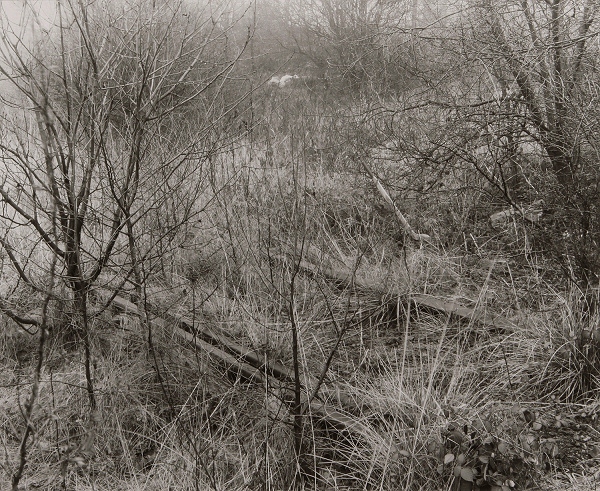 Points, Pensnett