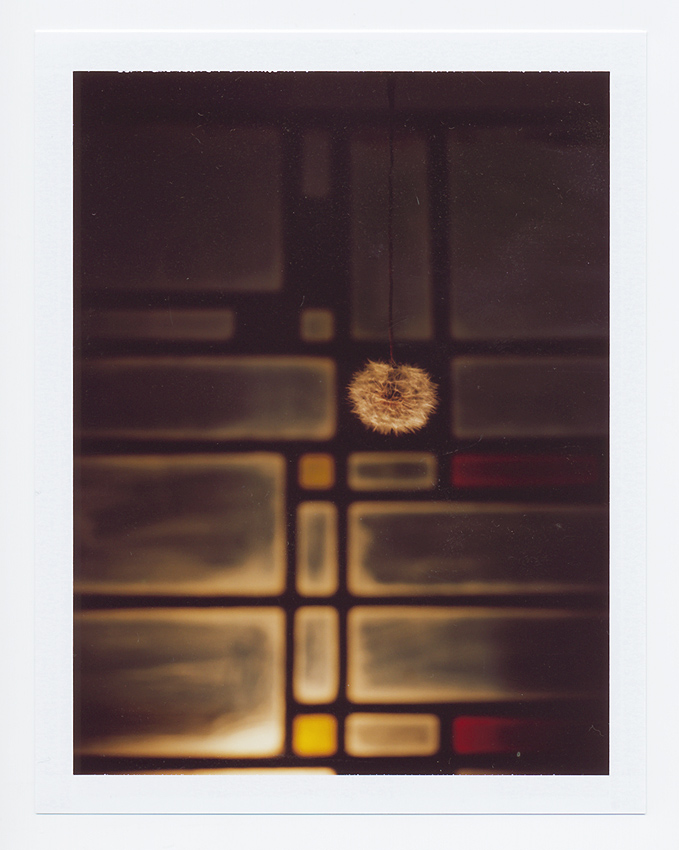 Polaroid