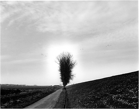 polder