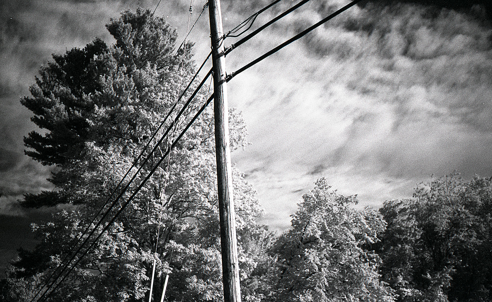 Pole