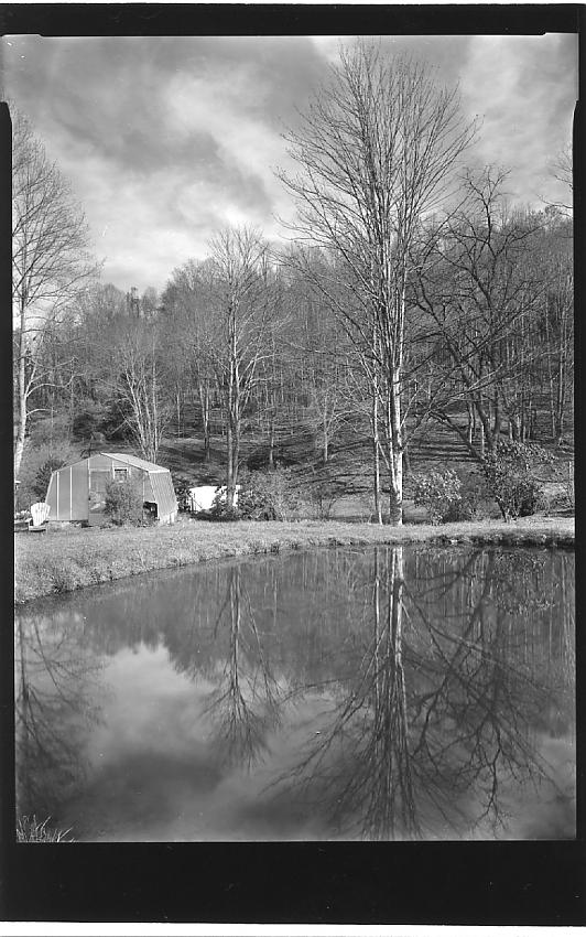 Pond and greenhouse