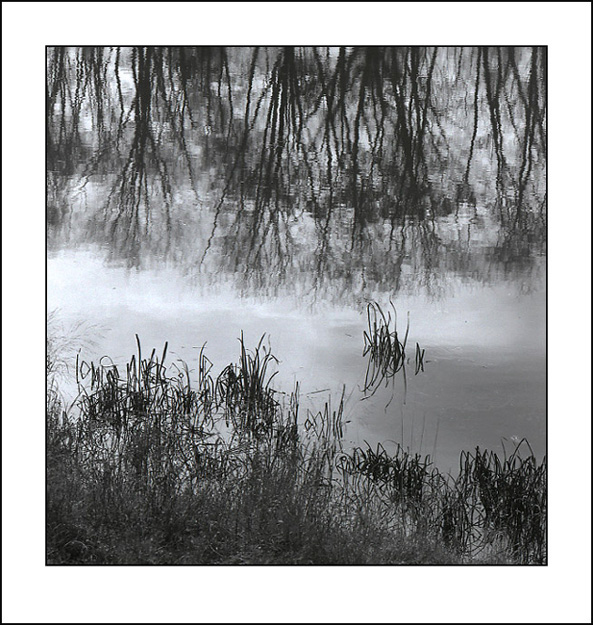 Pond at Kennridge Farm