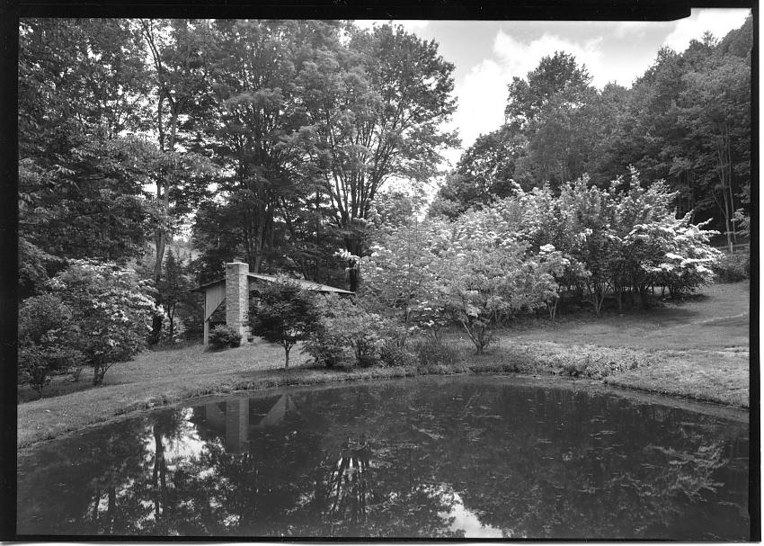 Pond, cook shed, dogwoods