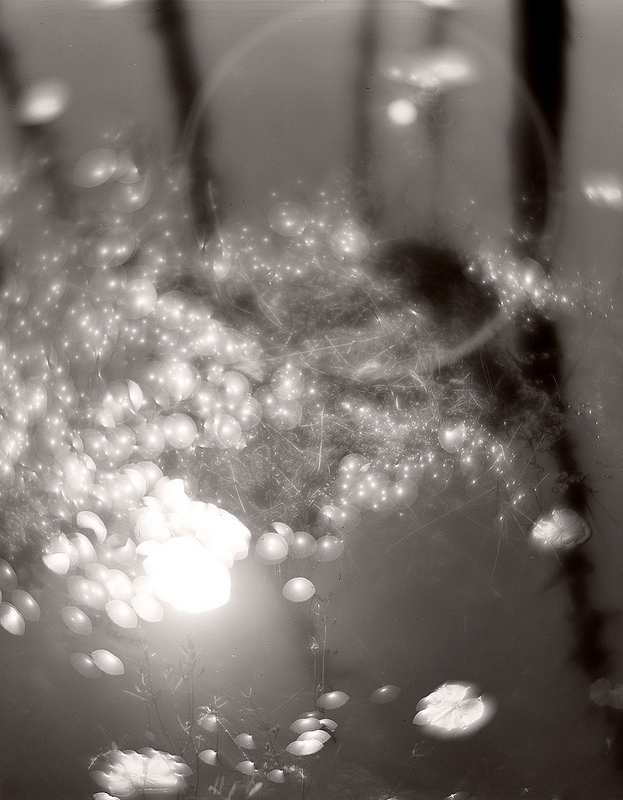 pond + light abstract