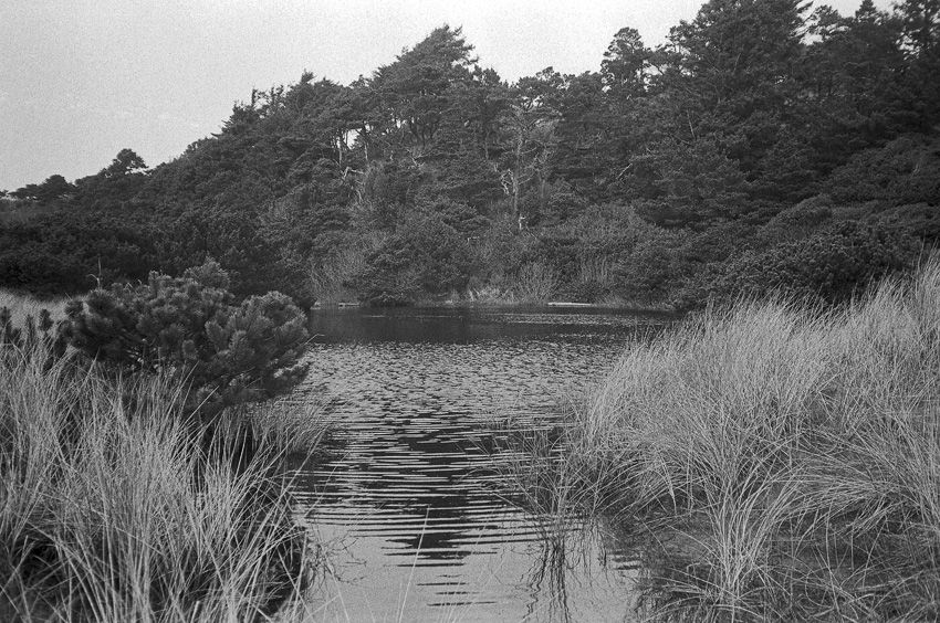 Pond on the beach