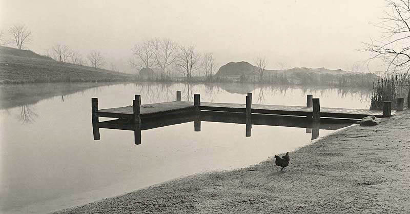Pond, Trader's Point