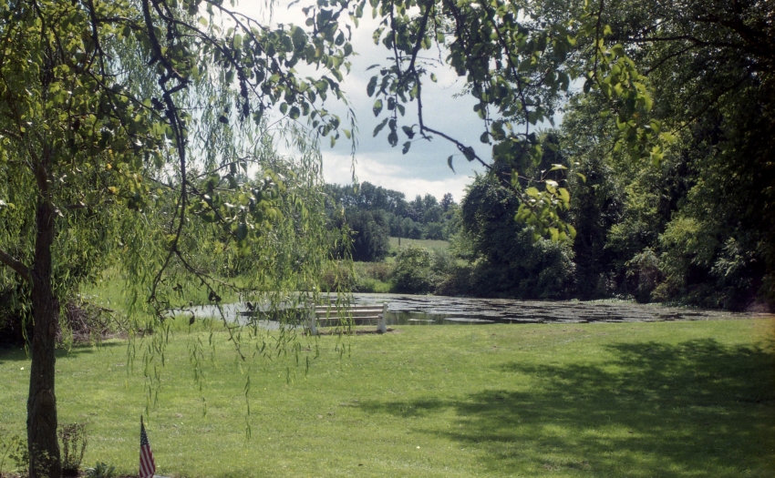 Pond