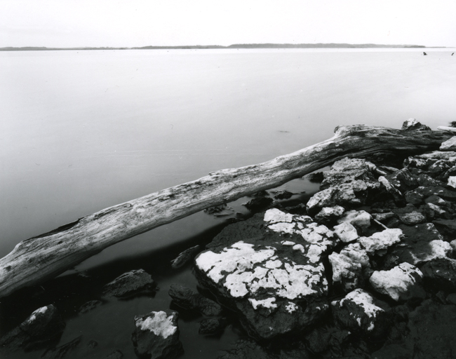 Pool 13, Upper Mississippi River Flyway