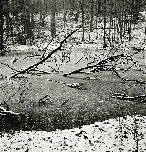Pool@winter (II)