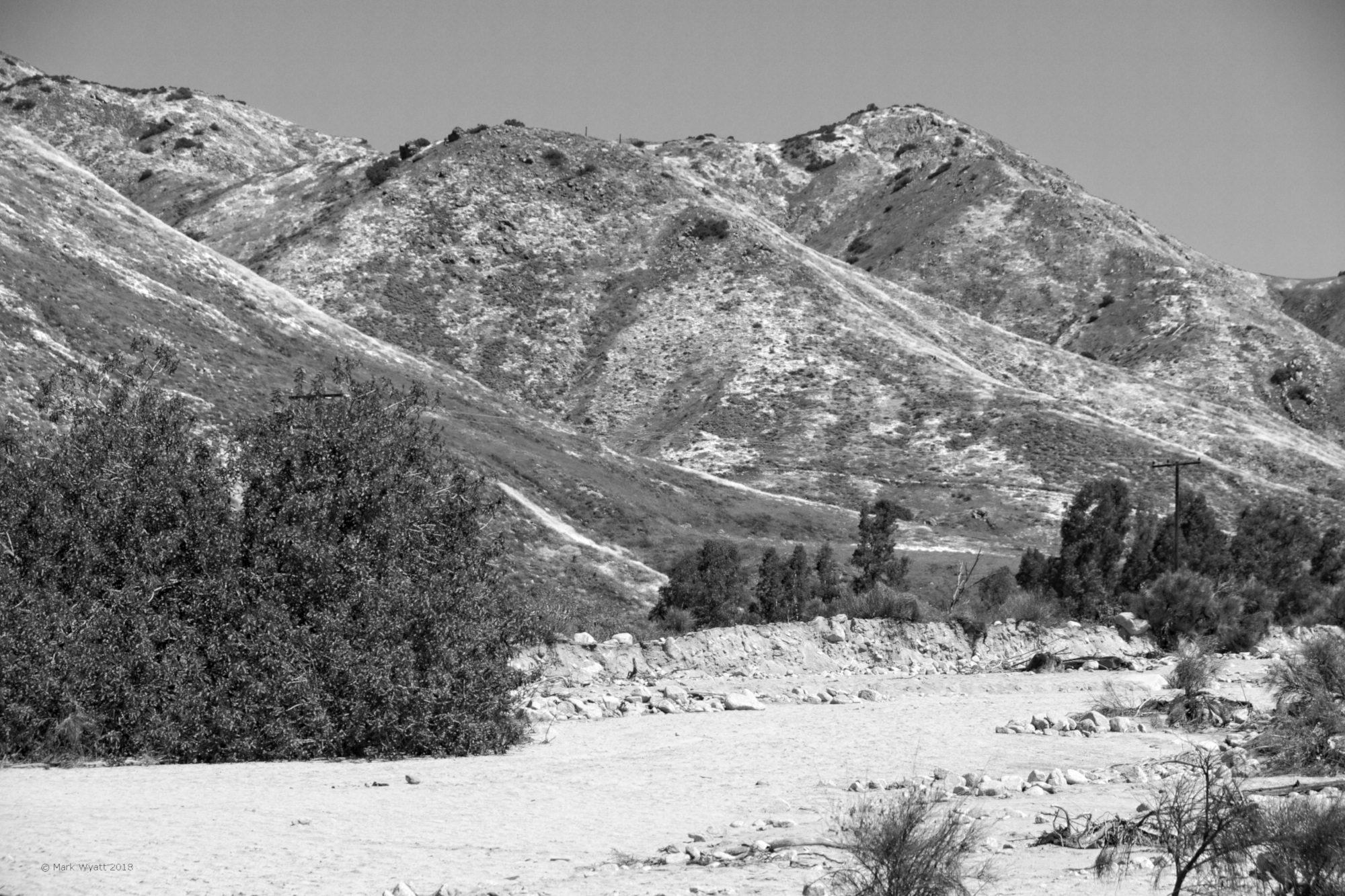 Poppy Covered Hills