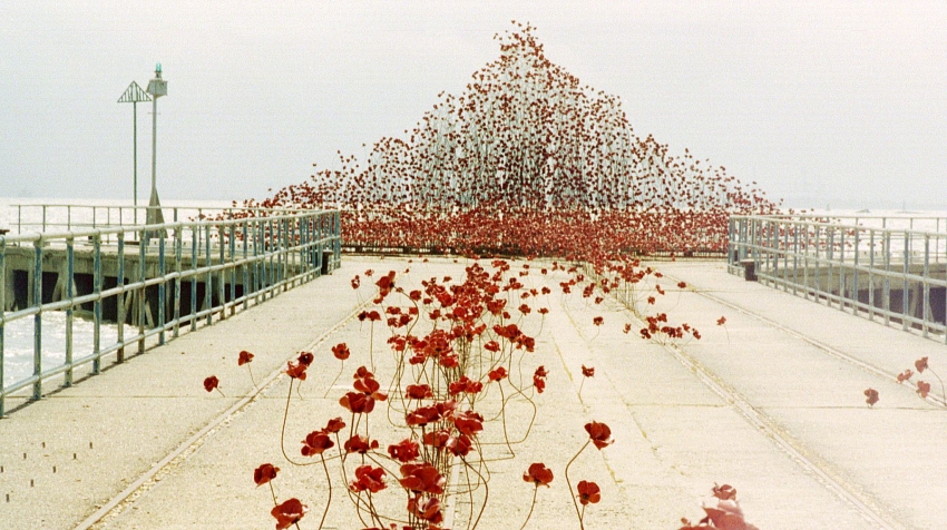 Poppy Wave
