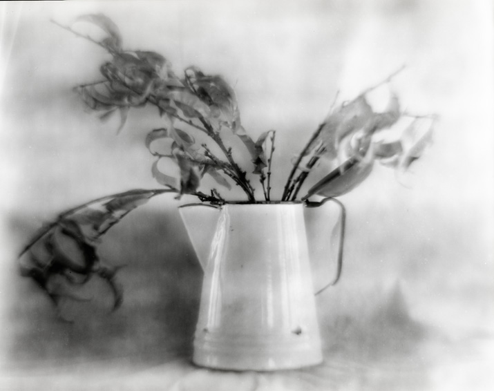 Pordelain Pot and Leaves