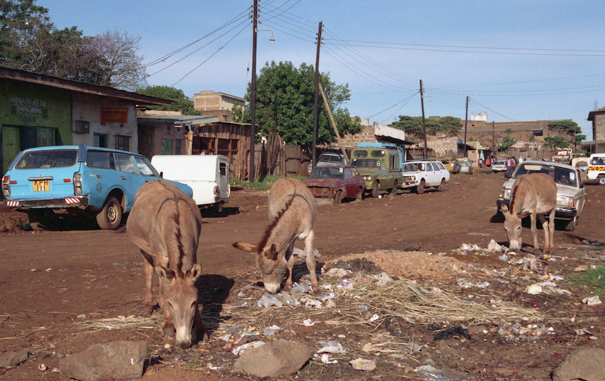 Poverty (Kenya)