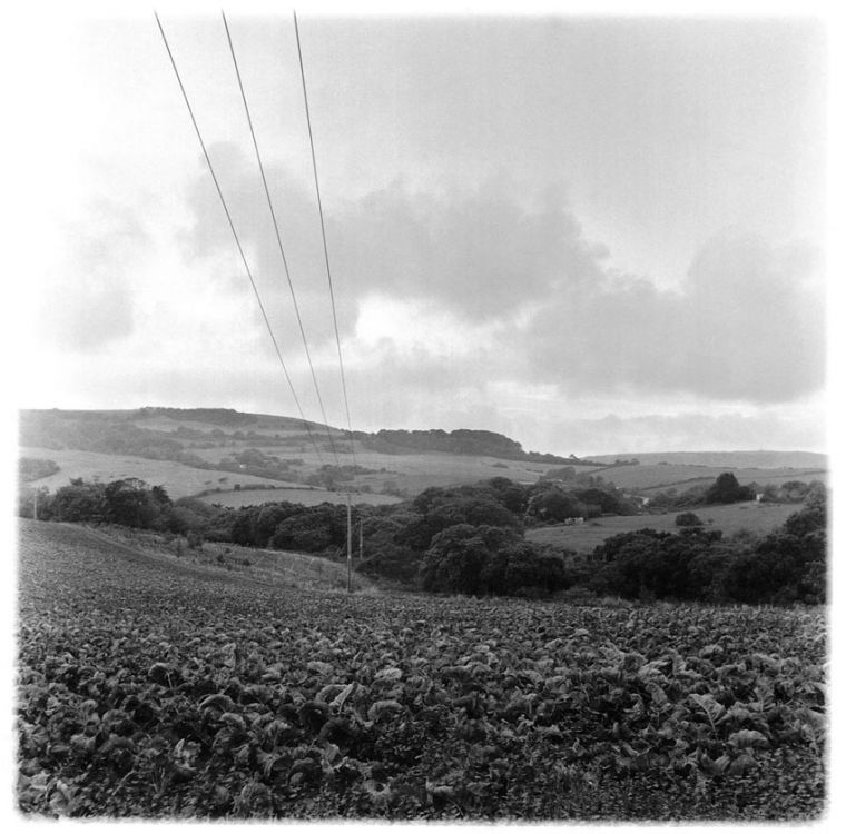 Power Lines, Shanklin