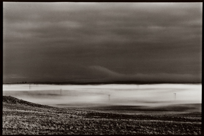 Power poles in the fog