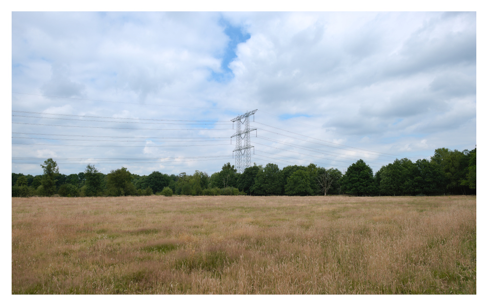 Power pylon, 1 pcs. Dead tree, also 1 pcs.