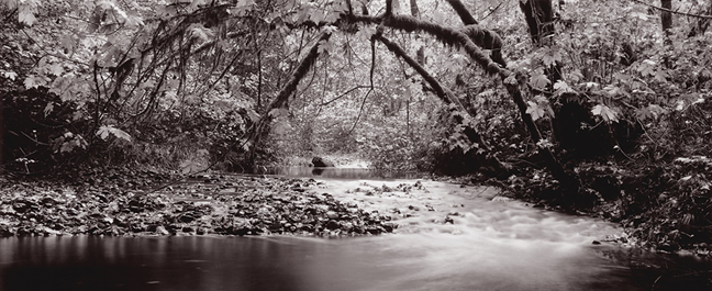 Prairie Creek, 1980